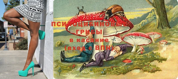 спиды Верея